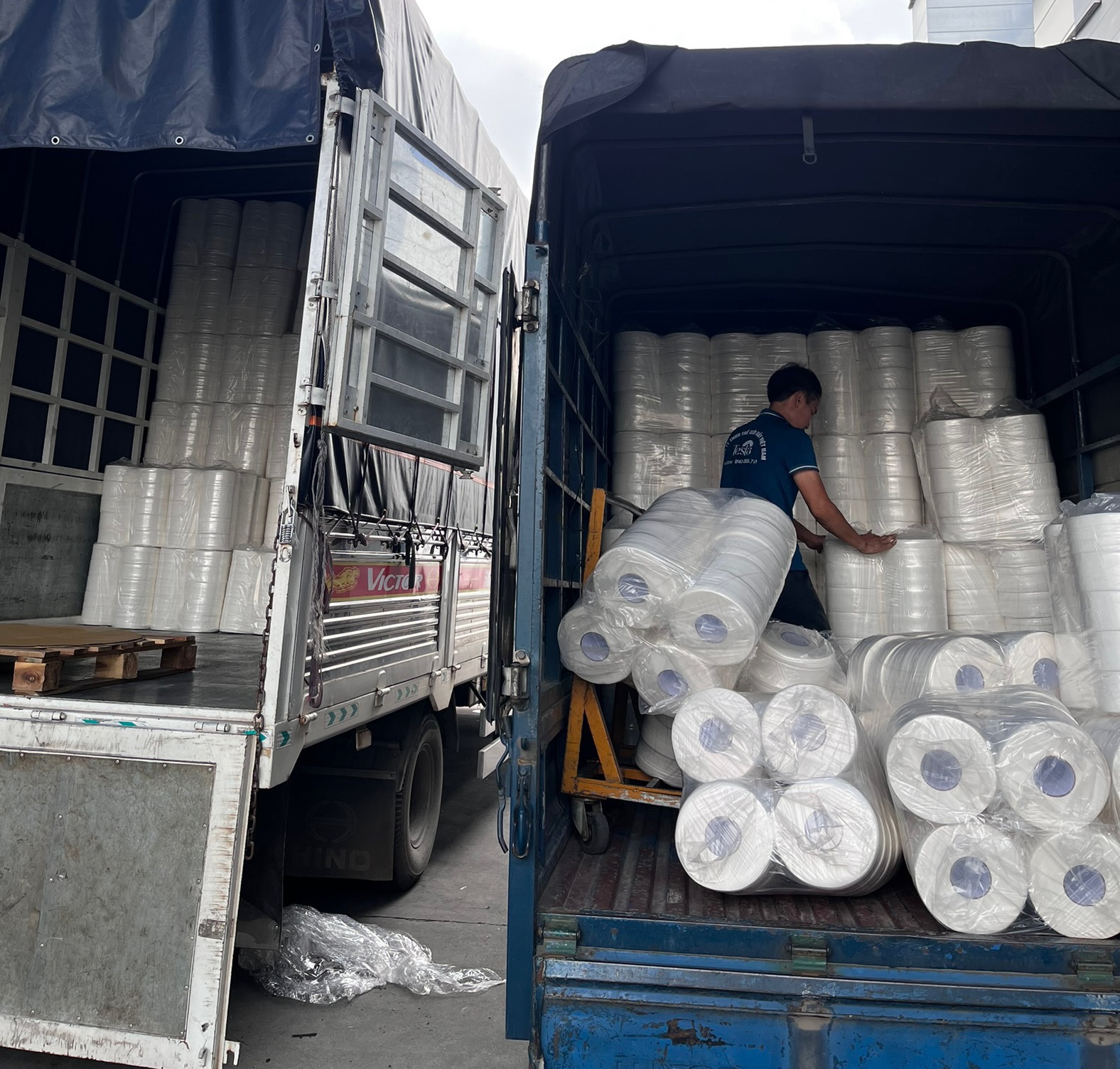 Giấy Vệ Sinh Cuộn Lớn